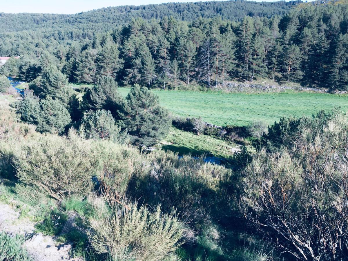 Artesano I Y III Navarredonda de Gredos Exterior foto